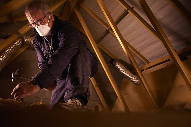 Professional Insulation Contractor in Solana, FL